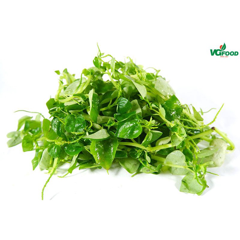 Hạt Giống Rau Càng Cua Phú Nông Sinh Trưởng Tốt Cho Năng Suất Cao- Gói 0.5gr
