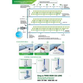 Combo 5 Béc tưới cánh đập Aladin-121B
