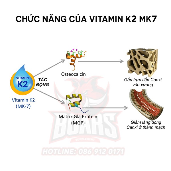 OSTROVIT K2 MK7 NATTO- Viên Bổ Sung Vitamin K2 200mg Giúp Săn Chắc Xương Khớp, Tổng Hợp Canxi hiệu quả (90 VIÊN)