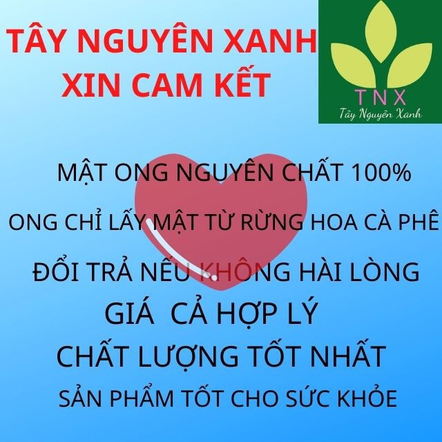 500 ML Mật Ong Hoa Cà phê nguyên chất Đăk Lăk, Loại đặc biệt có vị thanh ngon, vàng óng, nhà nuôi, nguyên chất 100%