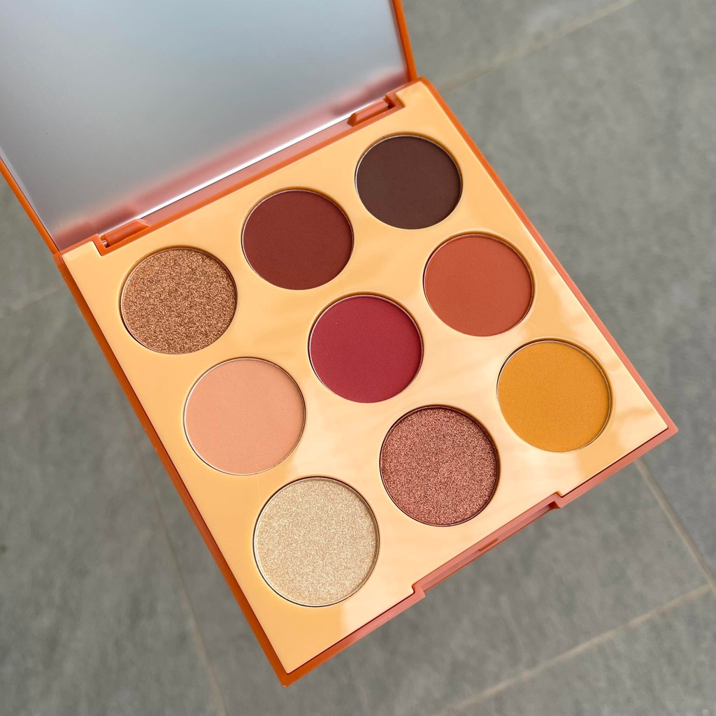 Bảng mắt 9D Morphe tone nâu đất