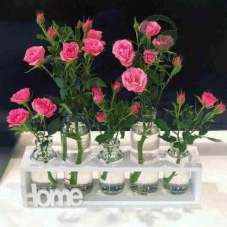 Set 5 lọ thủy tinh cắm hoa kèm kệ gỗ sang trọng