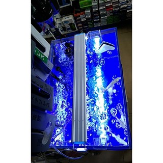 Đèn bể cá (20cm - 60cm)