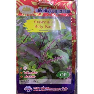 ️HẠT GIỐNG CÂY HƯƠNG NHU TÍA