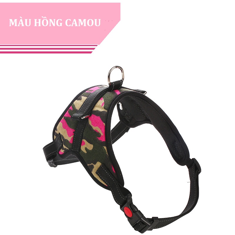 Đai Yếm Cao Cấp & Sang Trọng Cho Chó