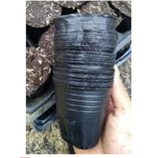 TÚI BẦU ƯƠM CÂY GIỐNG (13x 15cm)