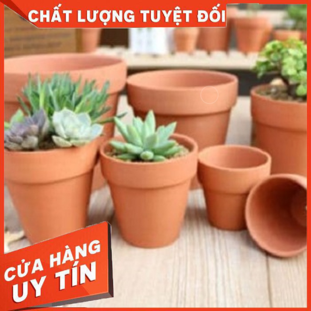 Chậu đất nung cao màu nâu ❌ FREE SHIP ❌ Xuất xứ Bát Tràng, siêu phẩm trồng sen đá, xương rồng