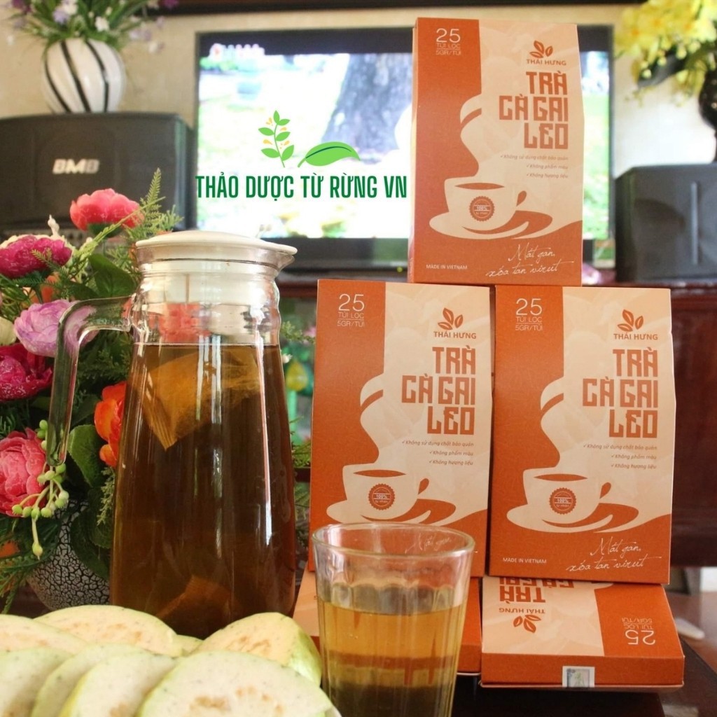 Trà Túi Lọc Cà Gai Leo Thái Hưng Xóa Tan Hết Mụn Nhọt Mần Ngứa 25 Túi Lọc 125g Thảo Dược Từ Rừng VN | BigBuy360 - bigbuy360.vn