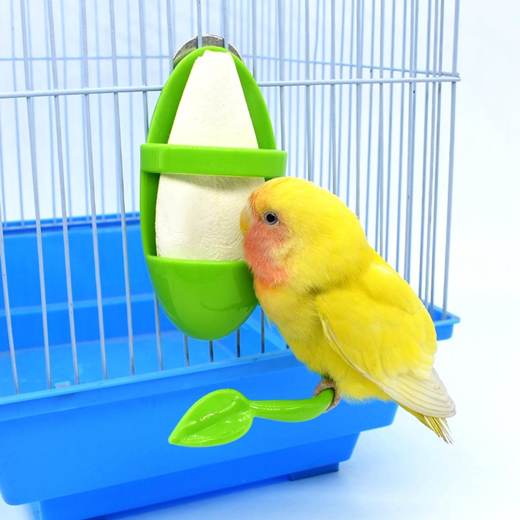 Hộp Đựng Thức Ăn Cho Vẹt Chất Lượng Cao|Hộp Nhựa Đựng Thức Ăn Treo Lồng Chim