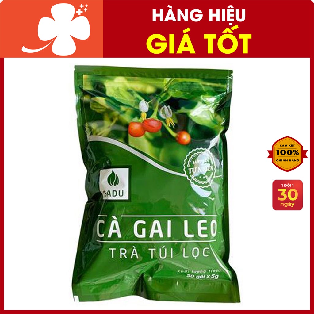 Trà Cà Gai Leo Túi Lọc Sadu 250g - Hỗ trợ mát gan thải độc gan, túi Zip hút chân không (Gói 250g)