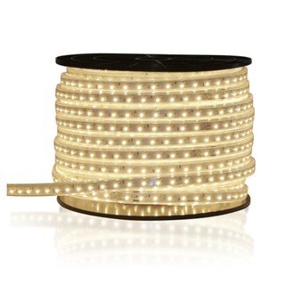 Đèn LED dây chiếu sáng 9W Rạng Đông RD-LD01_9W / 1 met