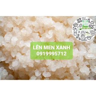 NẤM NƯỚC WATER KEFIR LÊN MEN NƯỚC DỪA/ ĐƯỜNG MÍA CÓ GA THƠM NGON KHỎE ĐẸP AN TOÀN