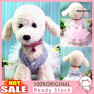 Đầm Cotton Sọc Thời Trang Cho Thú Cưng