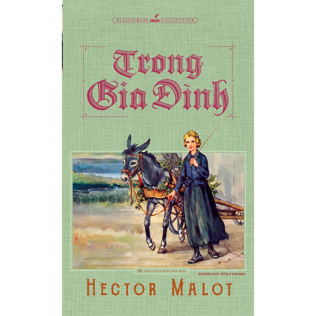 Sách: Tiểu Thuyết Trong Gia Đình - Hector Malot (Tái Bản)