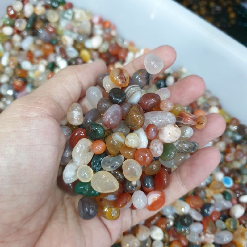 Mã Não Vụn ngũ sắc loại 500gr/1kg