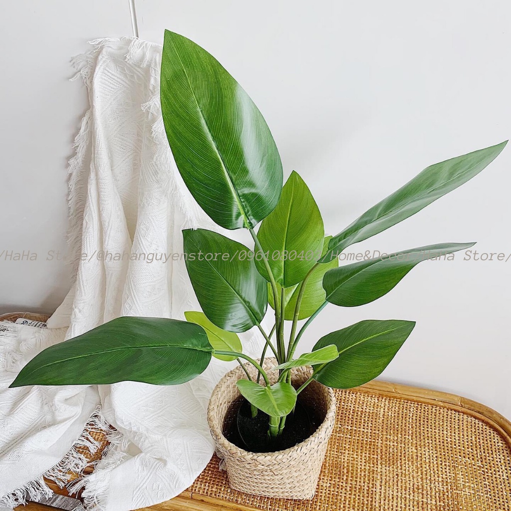 Thúng cói Decor - Giỏ Cói Trồng cây GCD02