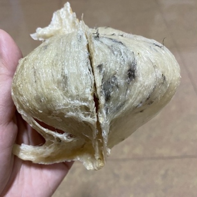 Yến thô già vàng 50gr, 100gr