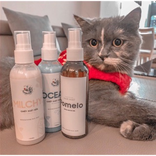 Combo Hair Care