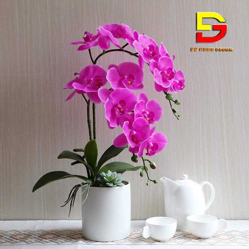 Bình Hoa Để Bàn Hoa Lan Hồ Điệp Cao Cấp Điểm Sen Đá Độc Đáo Sang Trọng DG-62