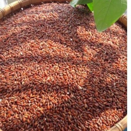 Gạo lứt giảm cân, đẹp da 1kg