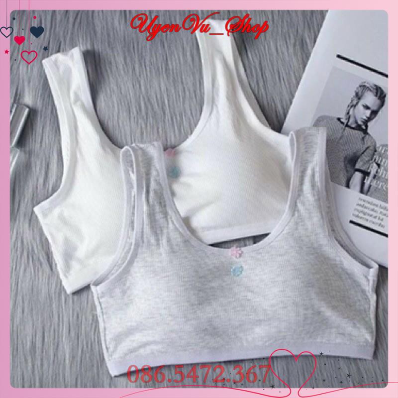 Áo lá học sinh đi học có móc cài [Siêu Sale [Ảnh thật [Chính hãng