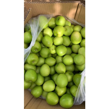 TÁO NINH THUẬN - LOẠI 1 GIÒN - NGỌT - ĐẶC SẢN NINH THUẬN