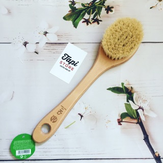 Cọ chà toàn thân The Body Shop Cactus Long Handle Body Brush