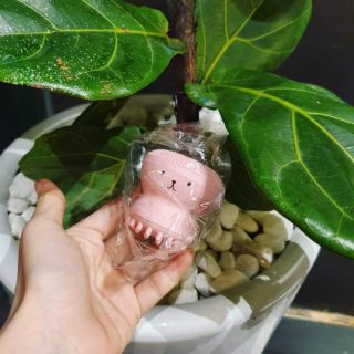 Sữa rửa mặt + cọ rửa mặt nội địa Trung
