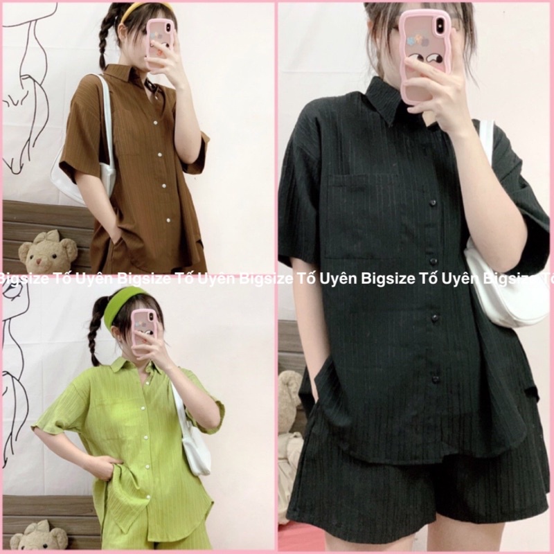(T.u Bigsize 50 - 80Kg) Bộ Đũi Gân Xẻ Lưng Hotrend Loại 1 #88