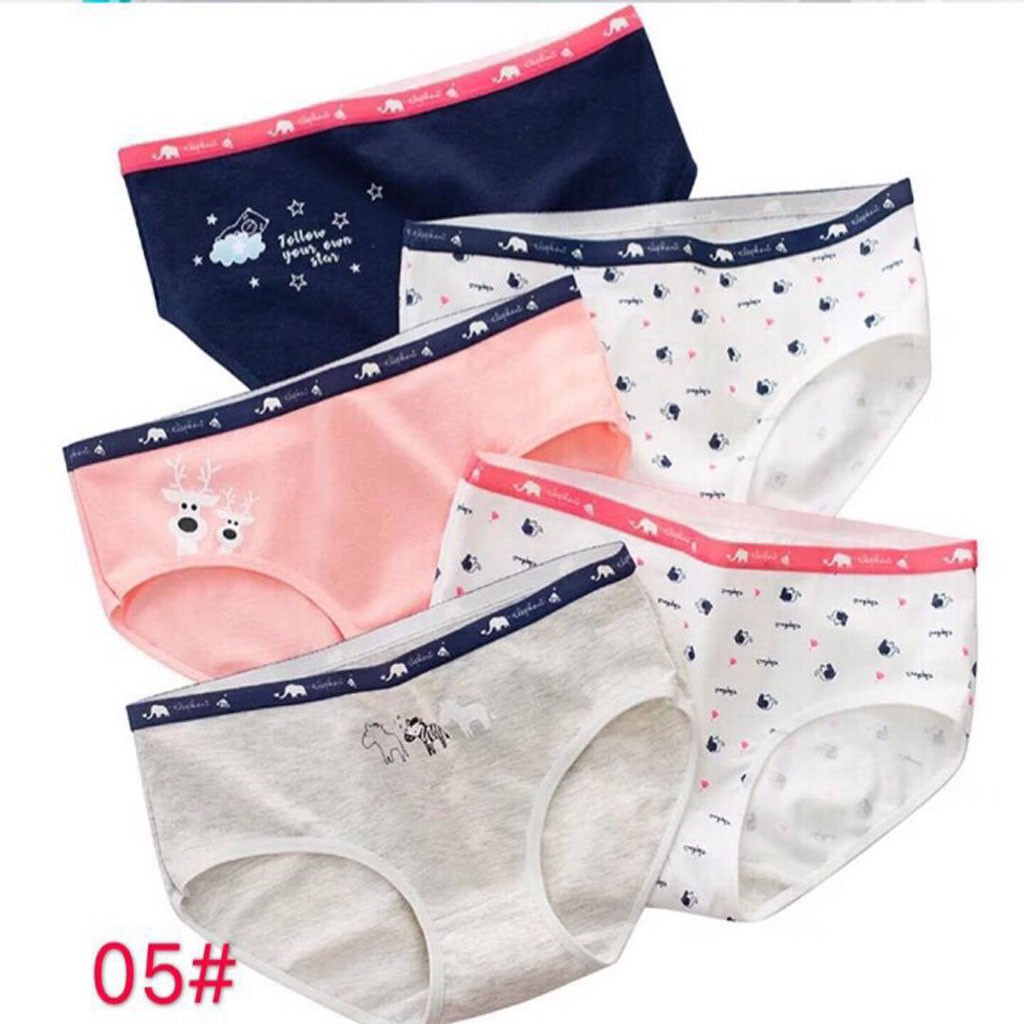 Sét 5 quần chíp cotton kháng khuẩn cao cấp mẫu mới size 42-58kg | BigBuy360 - bigbuy360.vn