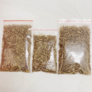 Sâu gạo rang