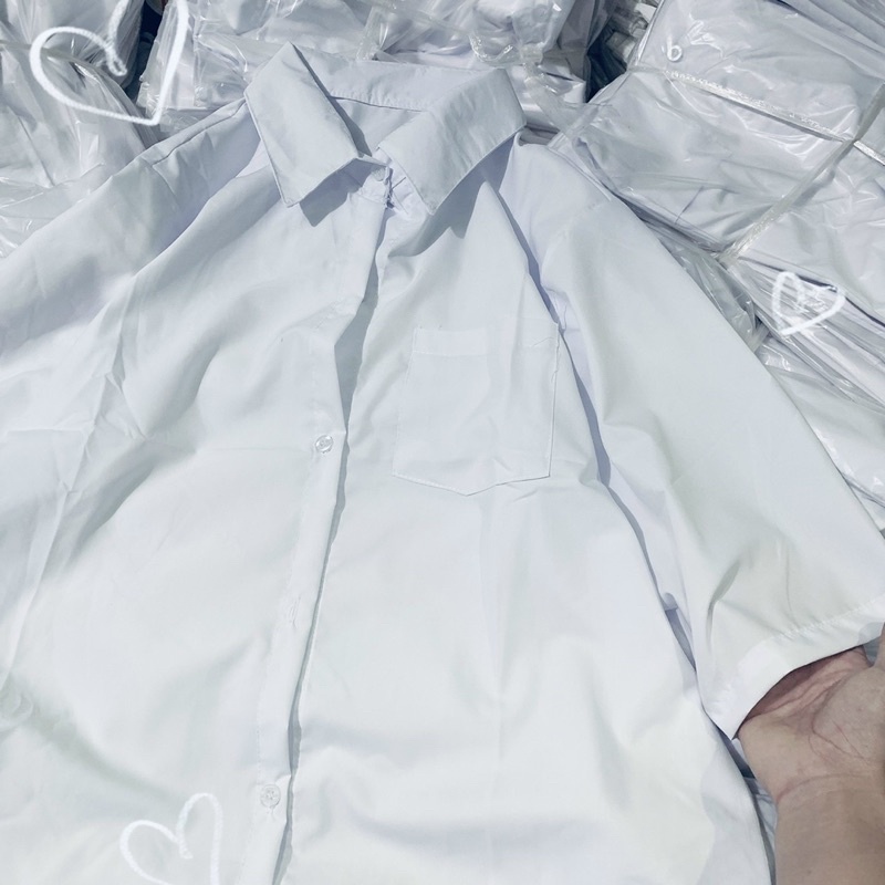 SƠ MI ĐI HỌC 89k