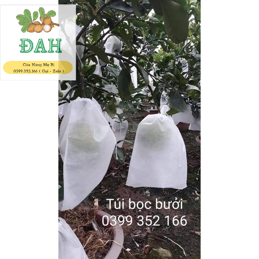 Túi Bọc  Bưởi, Dưa Lưới ,. kích thước 30x35cm, chất liệu bằng vải không dệt.Chống Sâu Bệnh Hiệu Quả