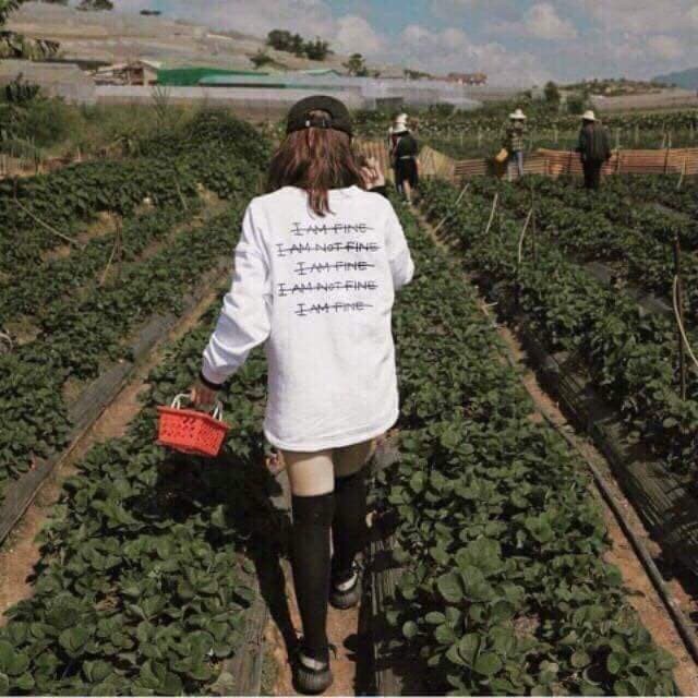 Áo Sweater Unisex Fine - Áo Sweater Thu Đông | BigBuy360 - bigbuy360.vn