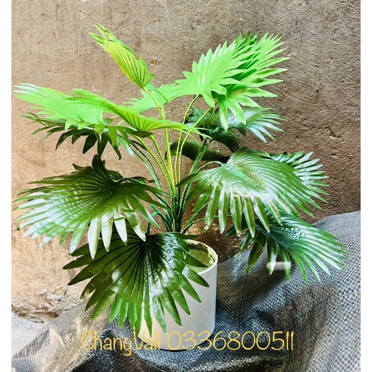Cây cọ tranh trí cao 40cm-cây giả