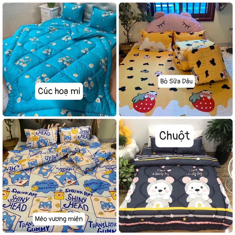 [Có video quay thật] BỘ CHĂN PHAO GA GỐI COTTON POLY 5 MÓN, Bộ chăn phao dày dặn, Bộ chăn phao cao cấp, chăn phao giá rẻ | BigBuy360 - bigbuy360.vn