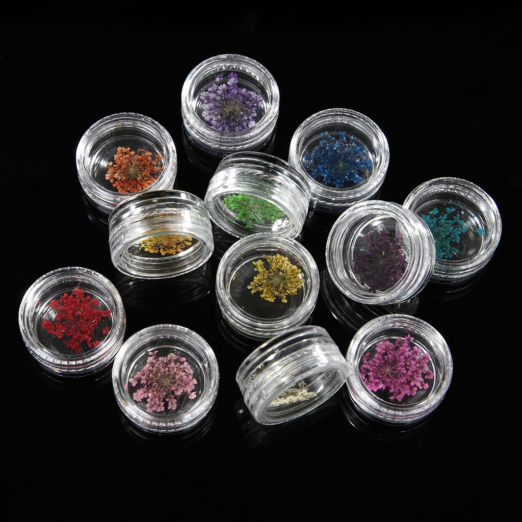 MONJA Bộ hoa khô 3D tự nhiên 12 màu sắc dành cho trang trí móng tay nghệ thuật