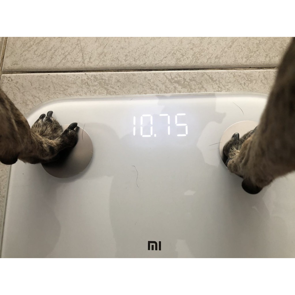 Cân điện tử thông minh Xiaomi Body Fat Scale 2 Universal kết nối Bluetooth- Hàng chính hãng bào hành 12 tháng