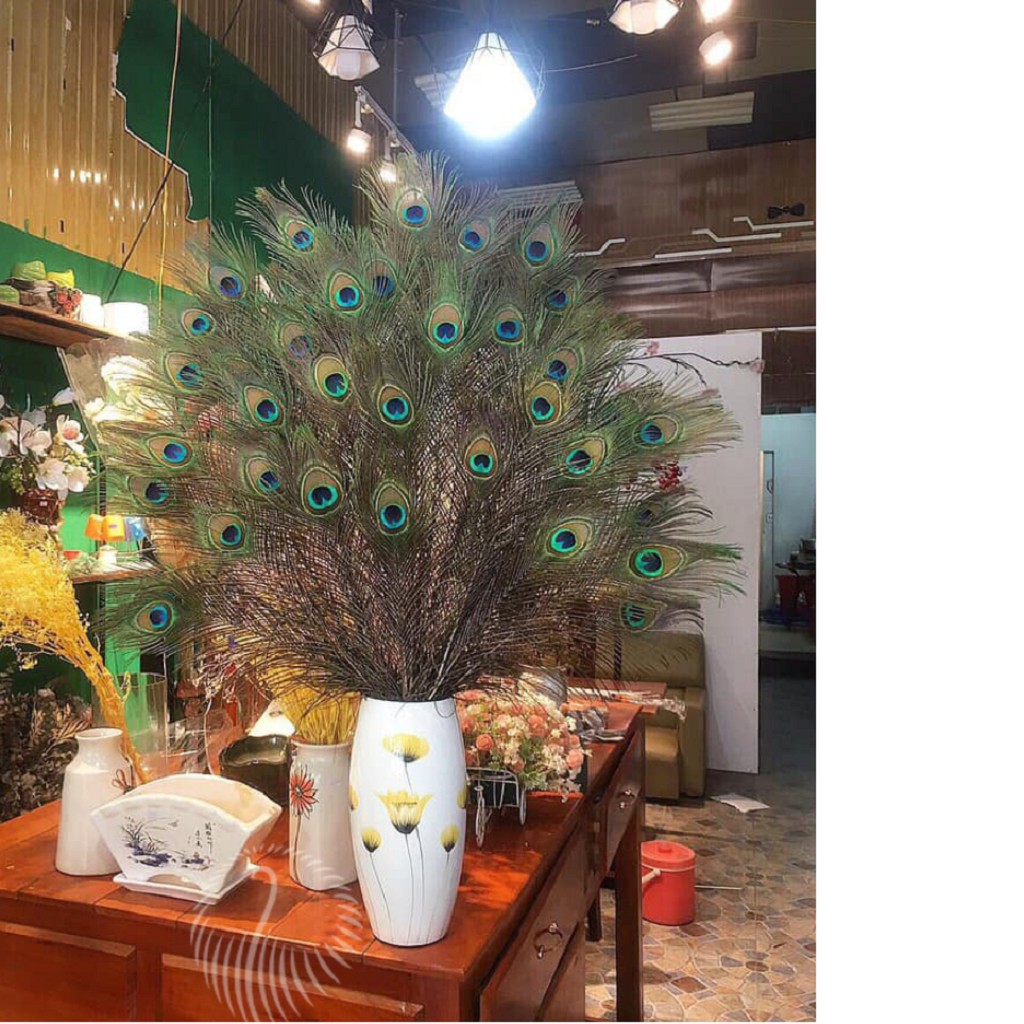 Lông công phong thủy LEVAN - Combo 10 lông công vượng khí, cầu tài, cầu lộc chiều dài 70-80cm | BigBuy360 - bigbuy360.vn