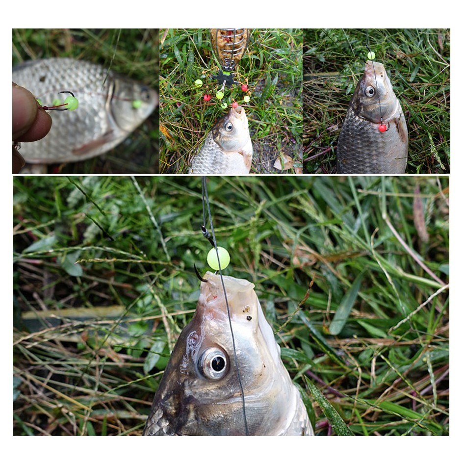 Set 100 hạt câu cá phát sáng thiết kế độc đáo