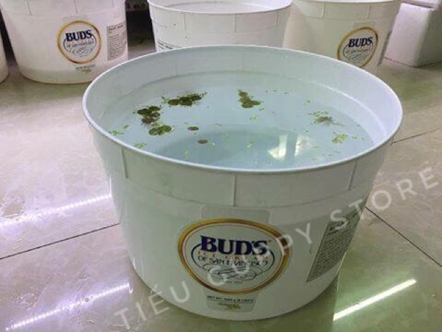 Thùng kem nuôi cá 5 lít - cao 16cm đường kính 25cm - thùng đựng kem đã được rửa lại