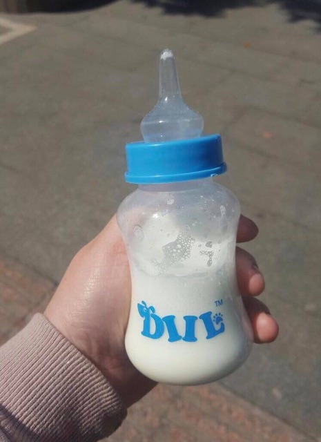Bình sữa dành cho cún mèo con kèm dụng cụ vệ sinh bình 🥛