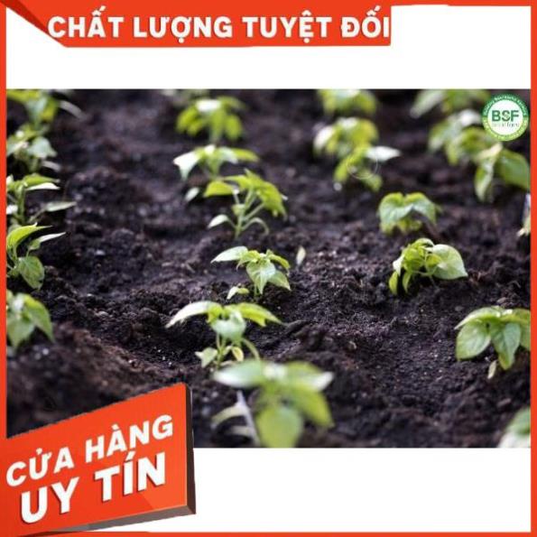 ĐẠM CÁ HỒI HUMIC HỮU CƠ⚡️CAN TO GIÁ RẺ - HÀNG CHÍNH HÃNG ⚡️NHÚ ĐỌT, RA RỄ, MÃ ĐẸP, TO TRÁI, NGỌT TRÁI 2