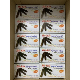 Combo 10 hộp gội đầu bồ kết túi lọc - Hộp 4 túi lọc x 10G