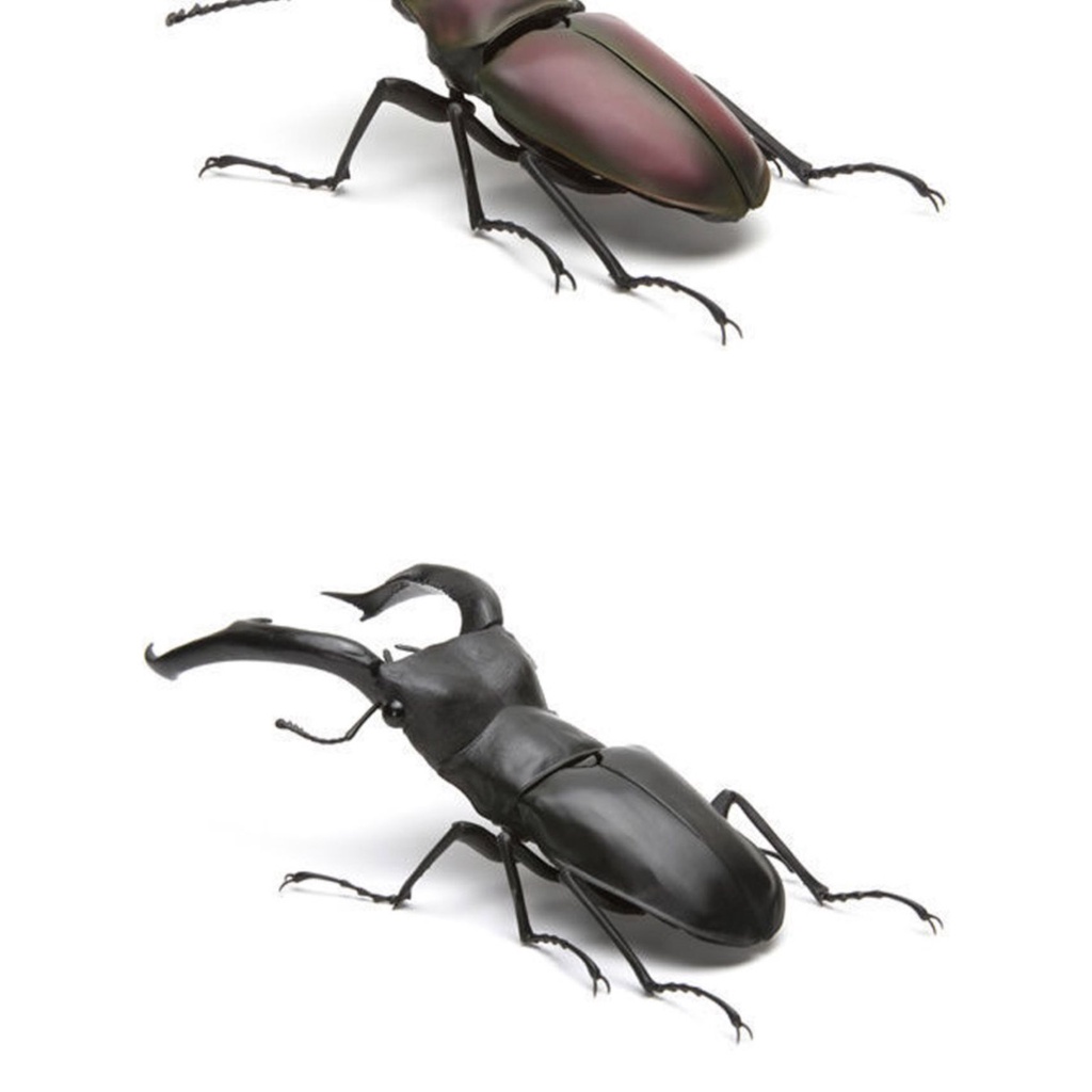 Mô Hình Côn Trùng Sinh Học Bandai Gashapon 02