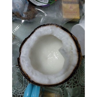 Dừa sáp đặc sản cầu kè dừa sáp lỏng bao ăn 1.2kg-1.5kg