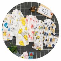 Bộ cotton giấy đẹp