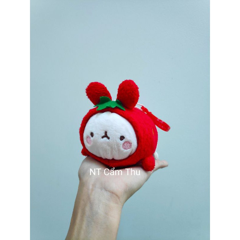 Gấu bông molang,thỏ bông molang đáng yêu nhiều mẫu