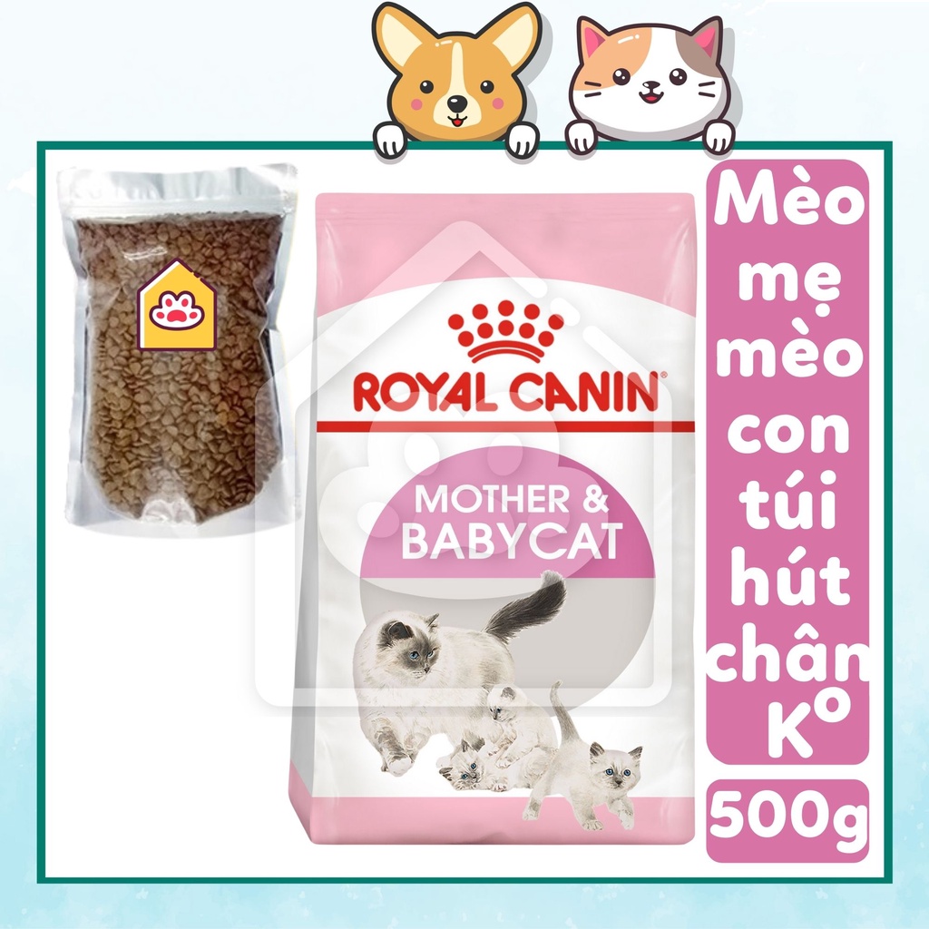 Thức ăn mèo Royal Canin Mother &amp; Babycat mèo mẹ mèo con cai sữa túi 500g - Bivido