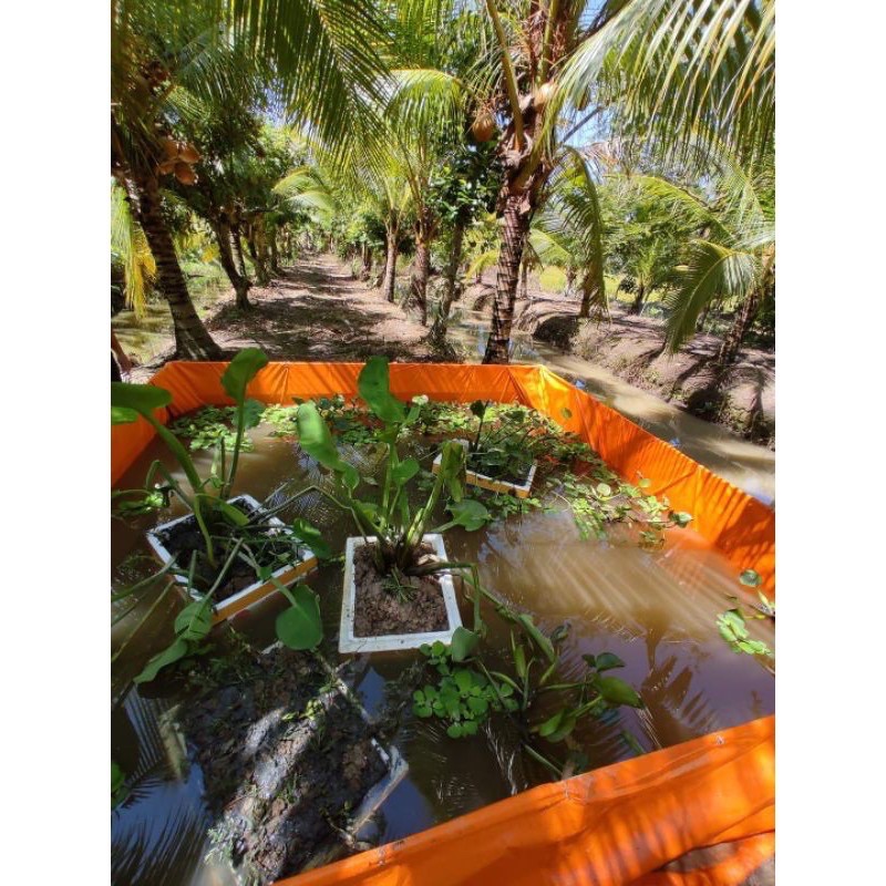 Bể bạt trồng sen, nuôi ốc, ếch, cá lươn - Bể cho trẻ tắm- hàng gia công tại xưởng, nhận đặt theo yêu cầu